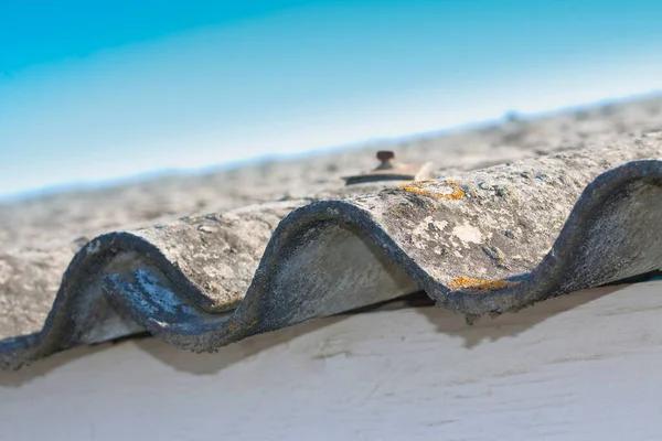 Reliable Asbestos Testing Service Ensuring Safe Homes